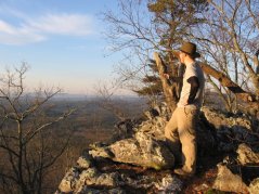 Seeing the forest from a new perspective along the Pinhoti Trail.