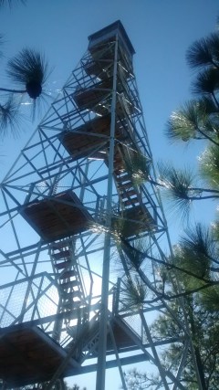At the base of the 90-foot-tall Smith Mountain Fire Tower.