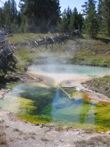 West Thumb basin at Yellowstone National Park.