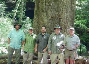 Our group in front of the Big Tree.
