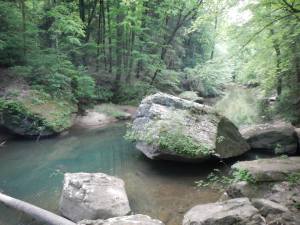 A classic scene along the Sipsey. 