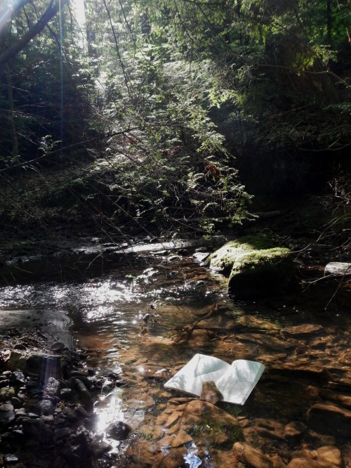 God's word always offers a spring of hope. 